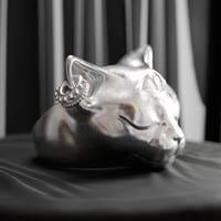 Image 2 of Cat ring