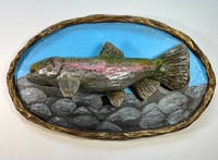 Image 1 of Rainbow Trout