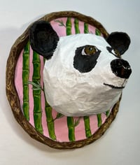 Image 2 of Panda