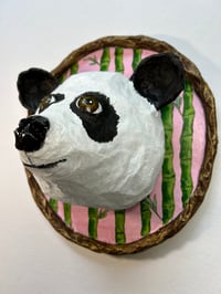 Image 3 of Panda