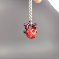 Image 5 of Watercolor anatomical heart pendant 