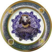 Image 1 of Lebrel italiano Lady Pucca - Fine China Plate - #0788