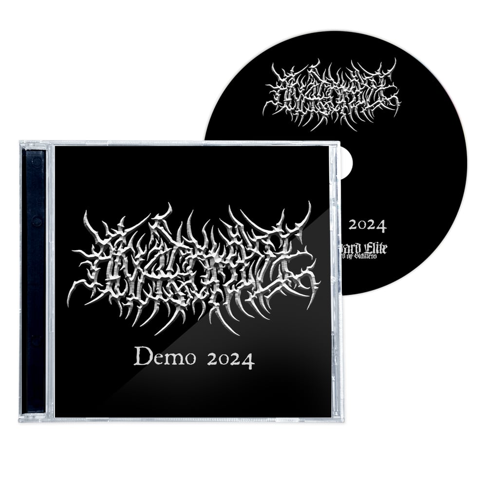 Image of ANATOMIZE '2024 DEMO" CD