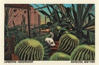 Image 1 of Lamberton/Cactus Postcard