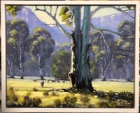 Image 3 of Coorongooba Campsite, Glen Davis