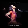 Nerina Pallot A Night At The Palladium (Audio)