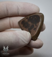 Image 4 of NEW: Reintroducing the Original PHD Guitar Plectrums! (2009)