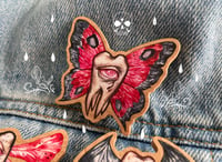 Image 3 of wooden pin. Tooth-moth