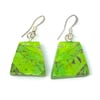 Turquoise Drop Earrings (Mountain)