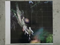 Study for Haus 2014  # 29