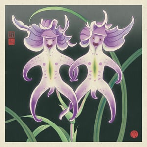 Naked Men Orchid