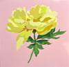 yellow peony no. 1