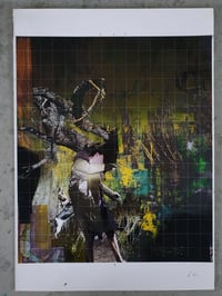 Study for Breed 4 2018  #33