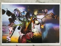 Study for Breed 3 2018  #34