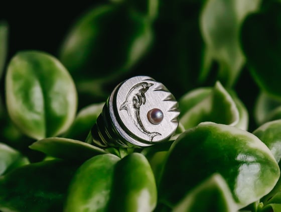 Image of Dolphin Signet 