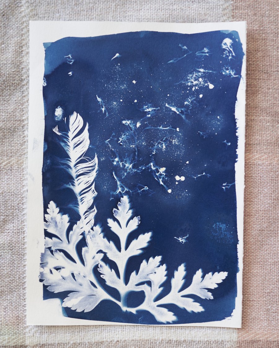 Image of Feather and Leaves Original Cyanotype