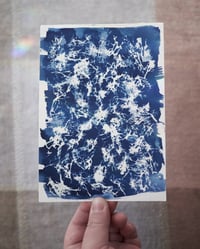 Image 1 of Mossy Cyanotype