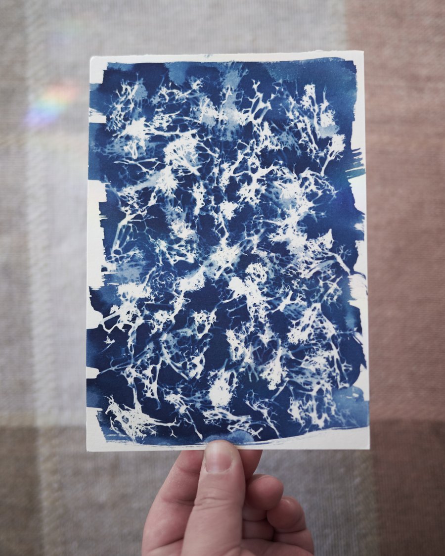 Image of Mossy Cyanotype