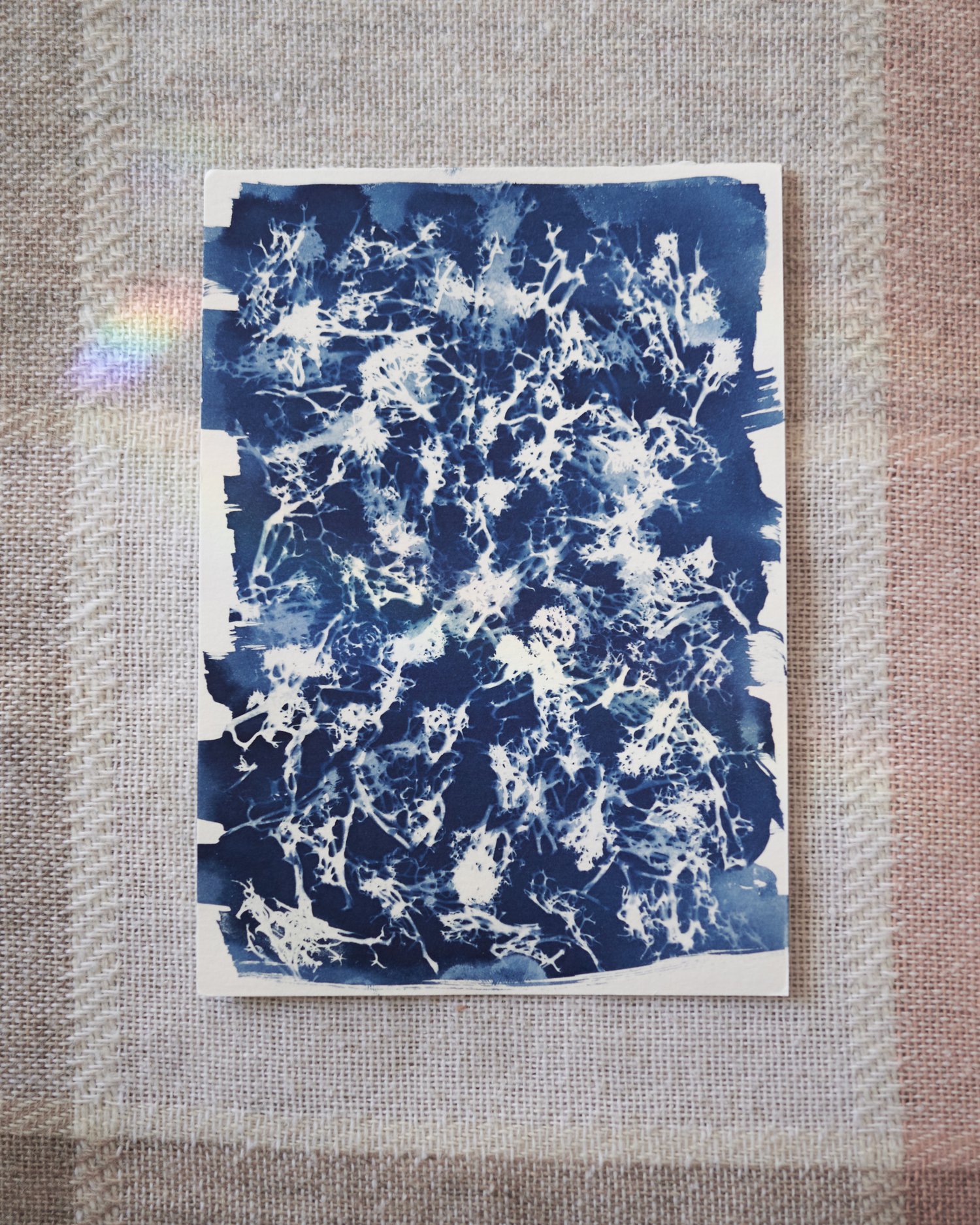 Image of Mossy Cyanotype