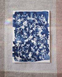 Image 2 of Mossy Cyanotype