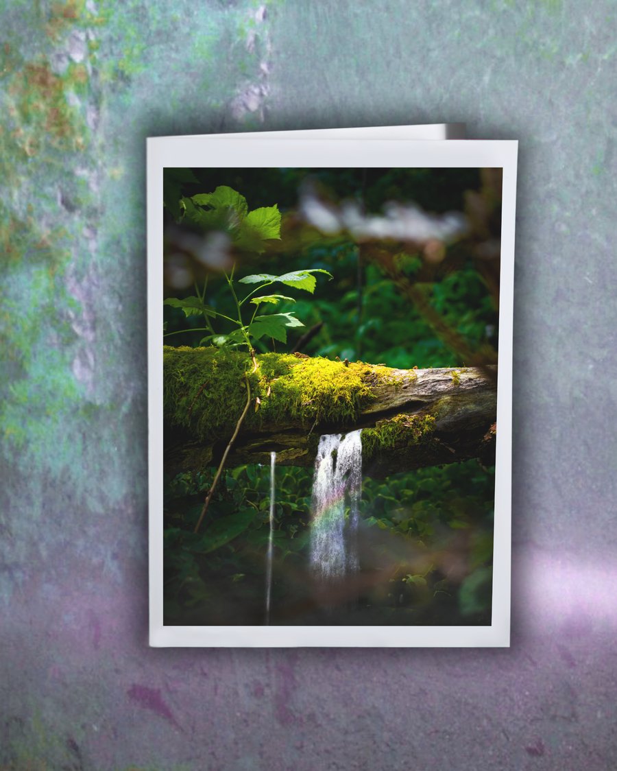 Image of Small Wonder Greeting Card