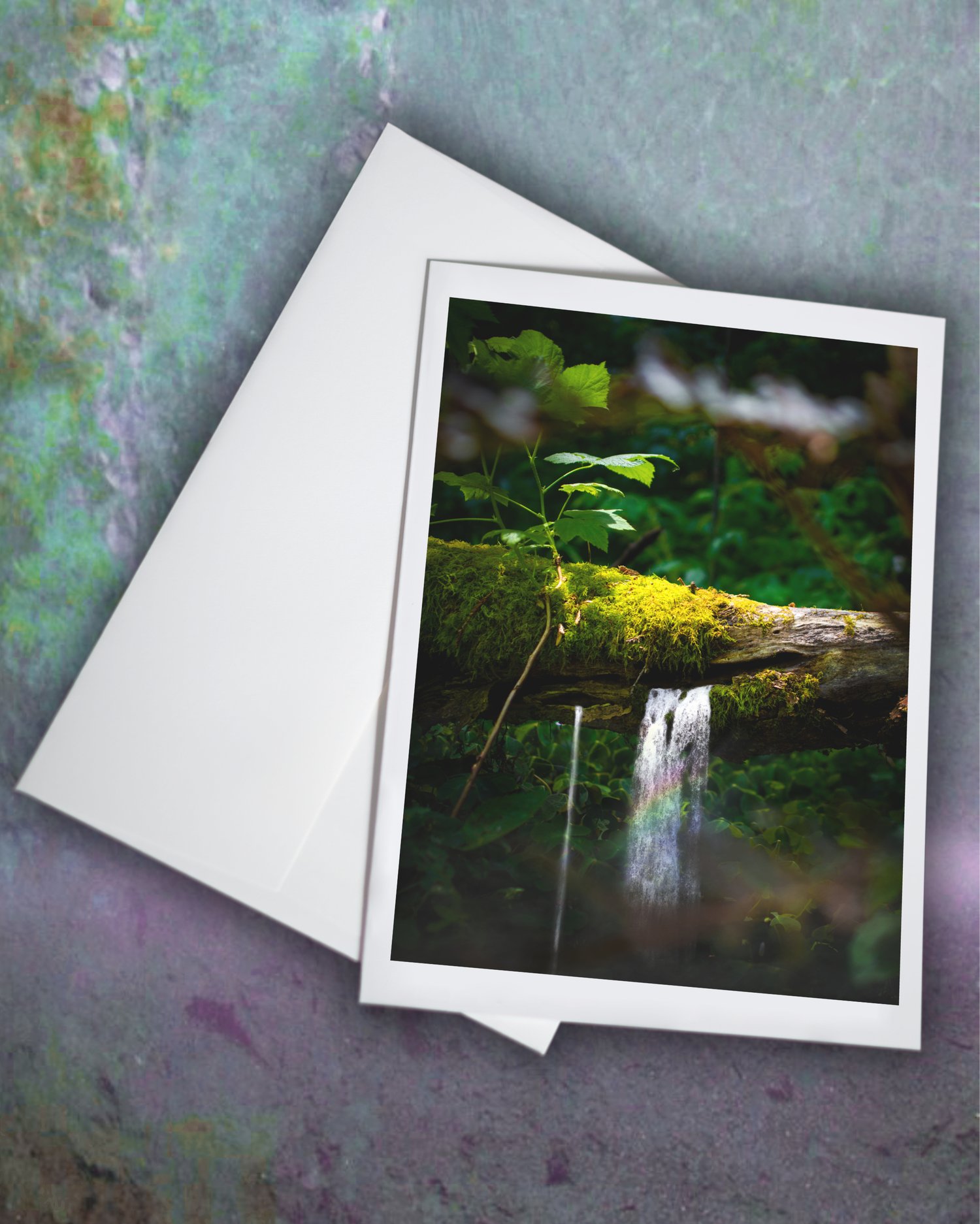 Image of Small Wonder Greeting Card