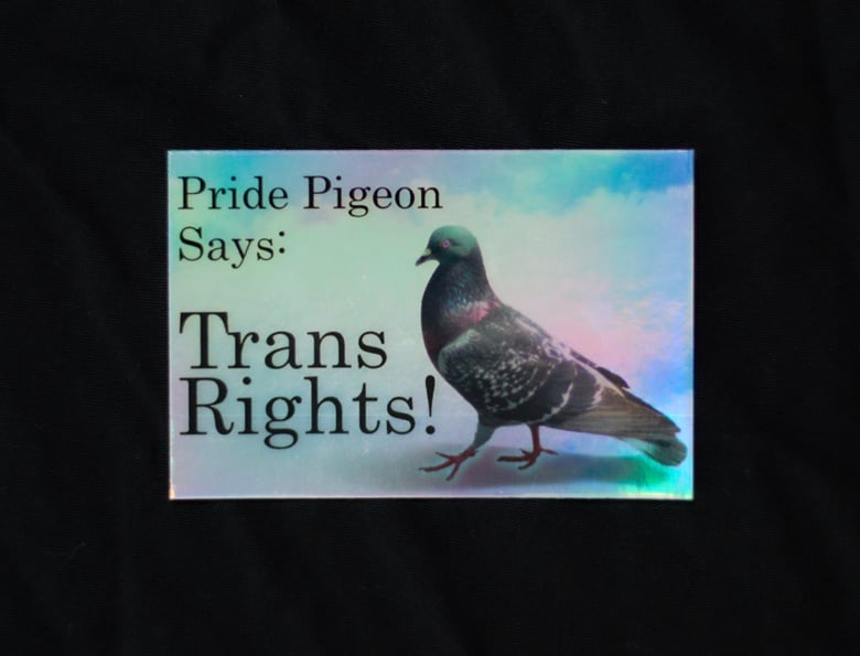 Image of Trans Pride Pigeon Sticker (Holographic)