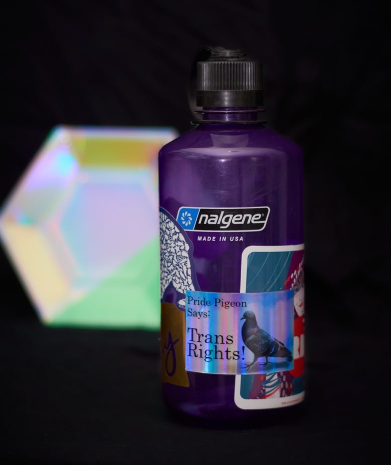 Image of Trans Pride Pigeon Sticker (Holographic)