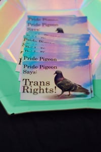 Image 3 of Trans Pride Pigeon Sticker (Holographic)