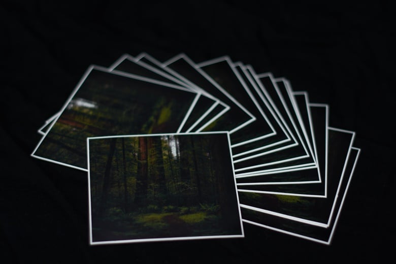 Image of In The Shadows of Giants Sticker