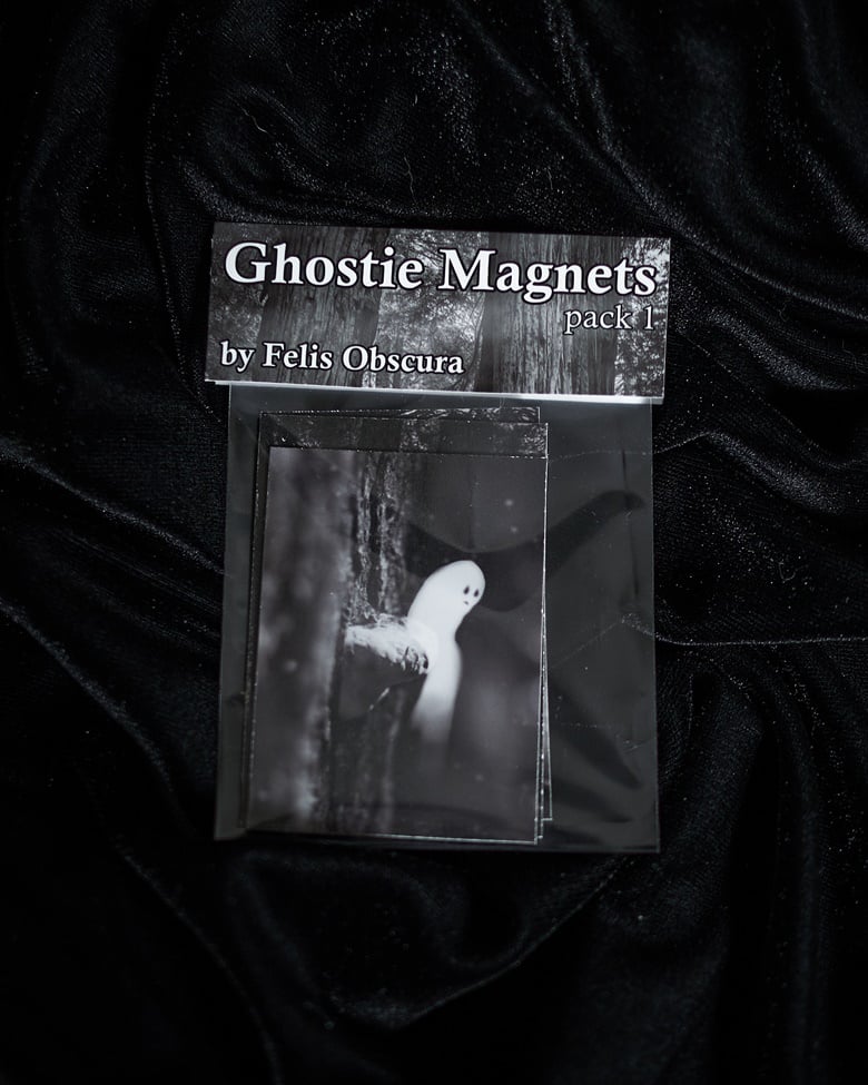 Image of Misfit Ghosts Magnets Pack 1