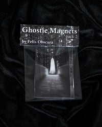 Image 1 of Misfit Ghosts Magnets Pack 2