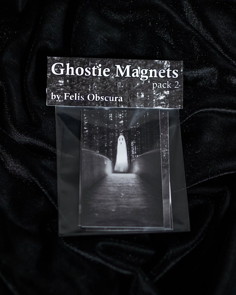 Image of Misfit Ghosts Magnets Pack 2