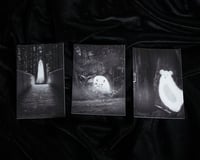 Image 3 of Misfit Ghosts Magnets Pack 2