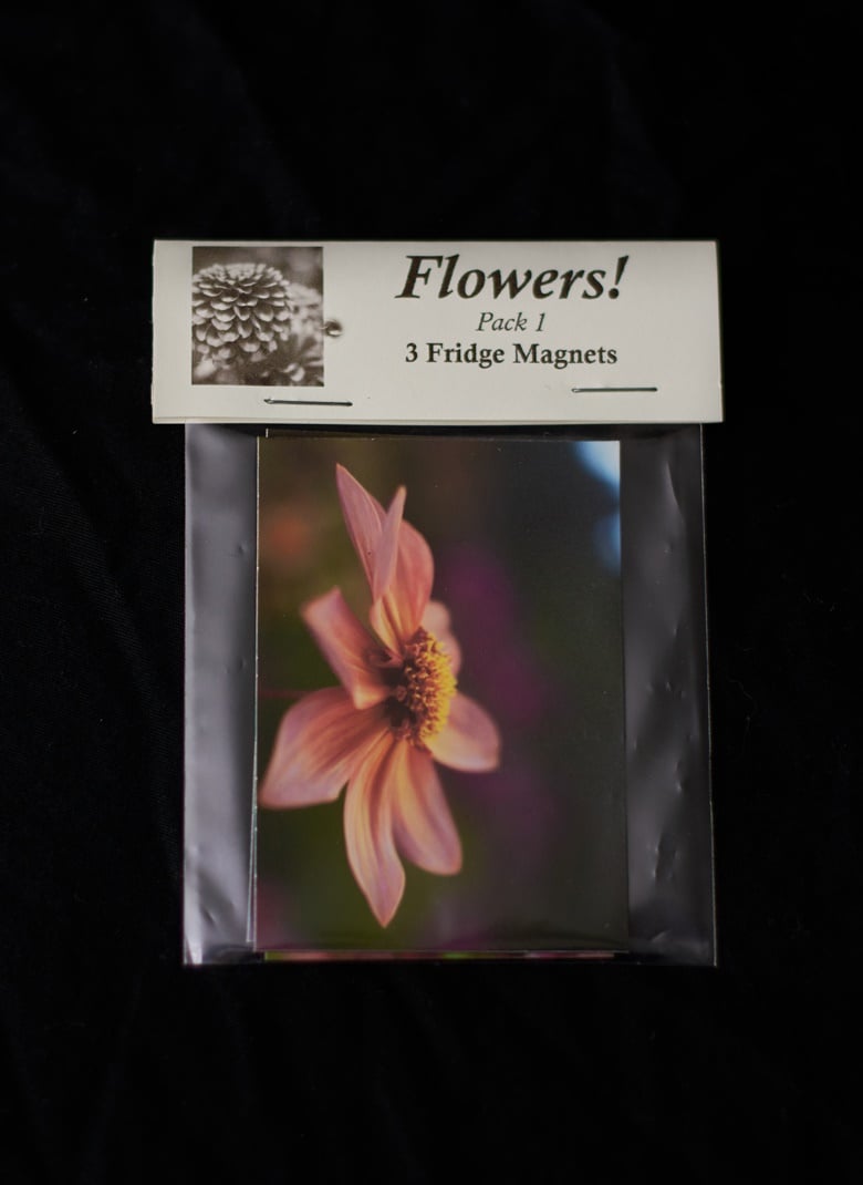 Image of Flower Magnet Pack 1