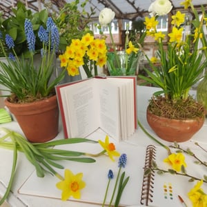 Image of Garden Journal Art Workshops