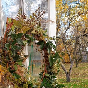 Image of Autumn Cutting Garden Workshop 