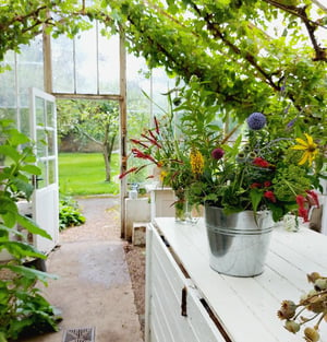 Image of Cutting Garden Flower Workshop May - September