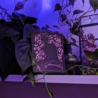 Image 1 of New Venus Sticker