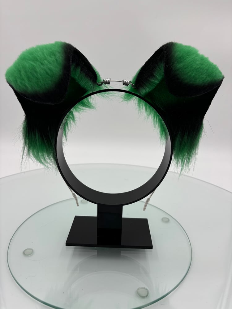 Image of Green & Black Puppy Ears