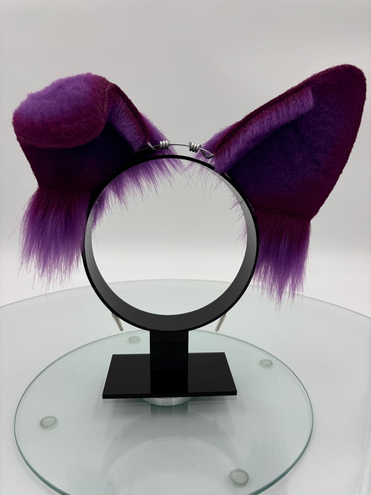 Image of Purple & Hot Pink Puppy Ears 