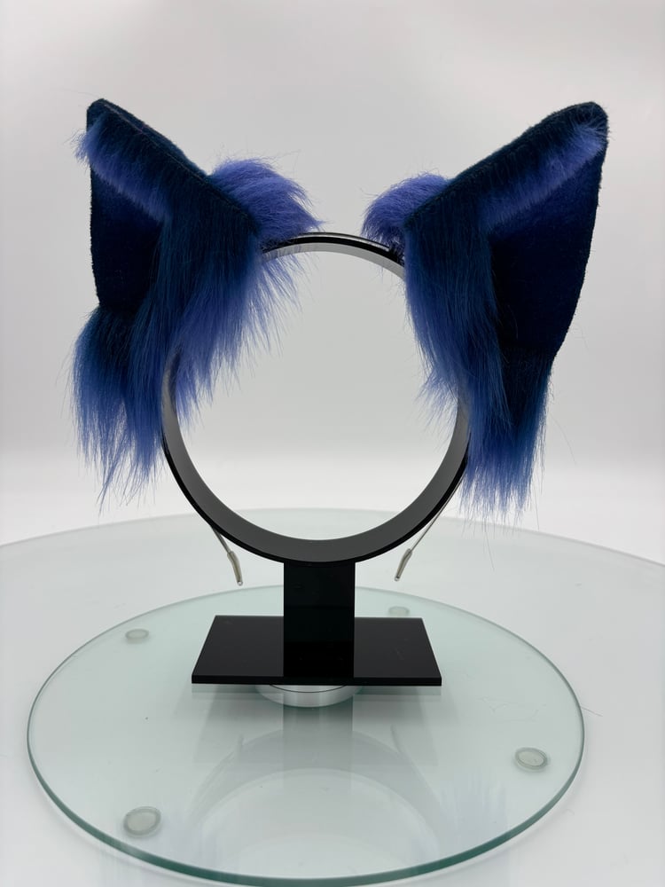Image of Midnight Blues Cat Ears 