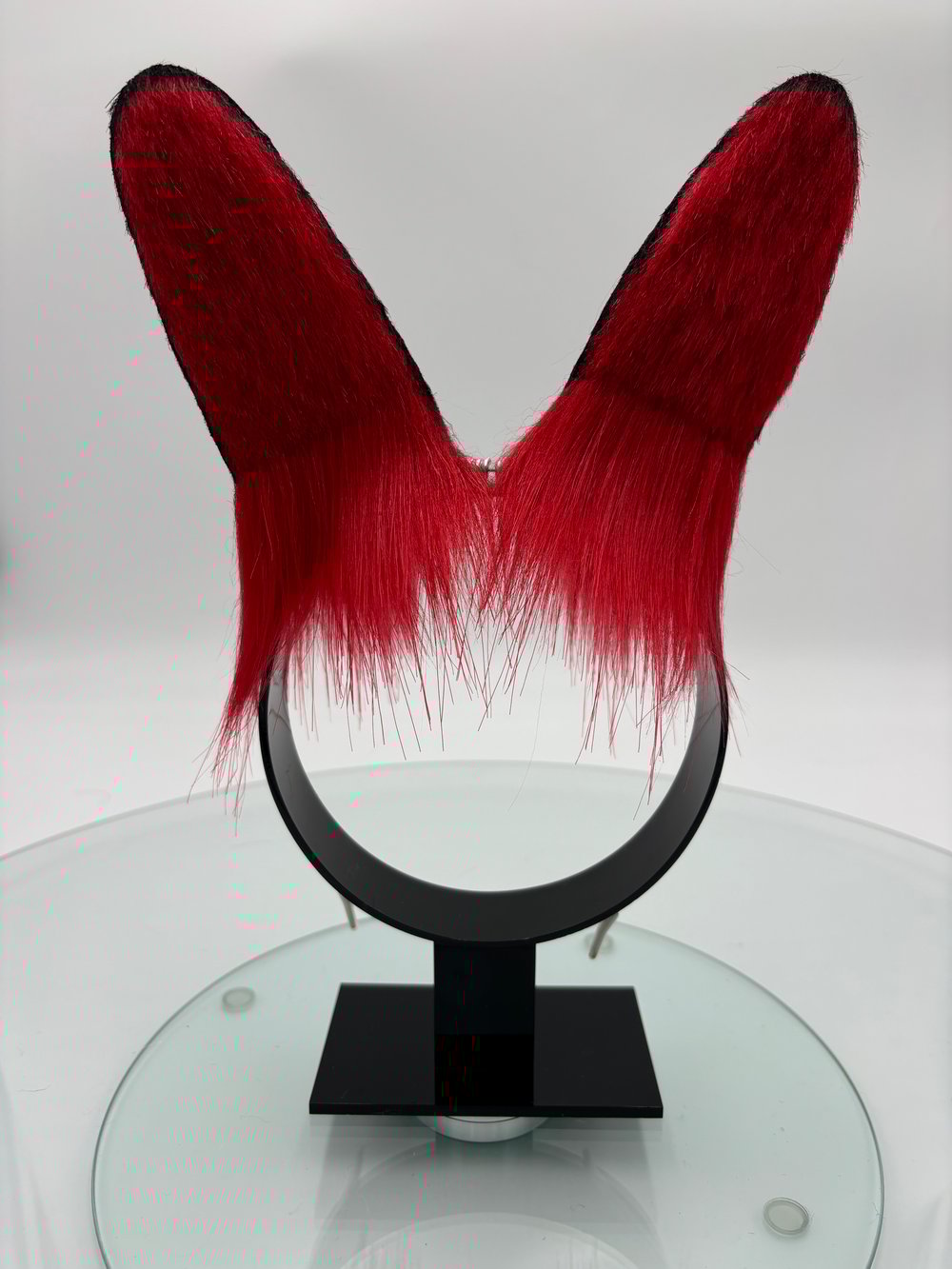 Image of Red & Black Mini Bun Ears