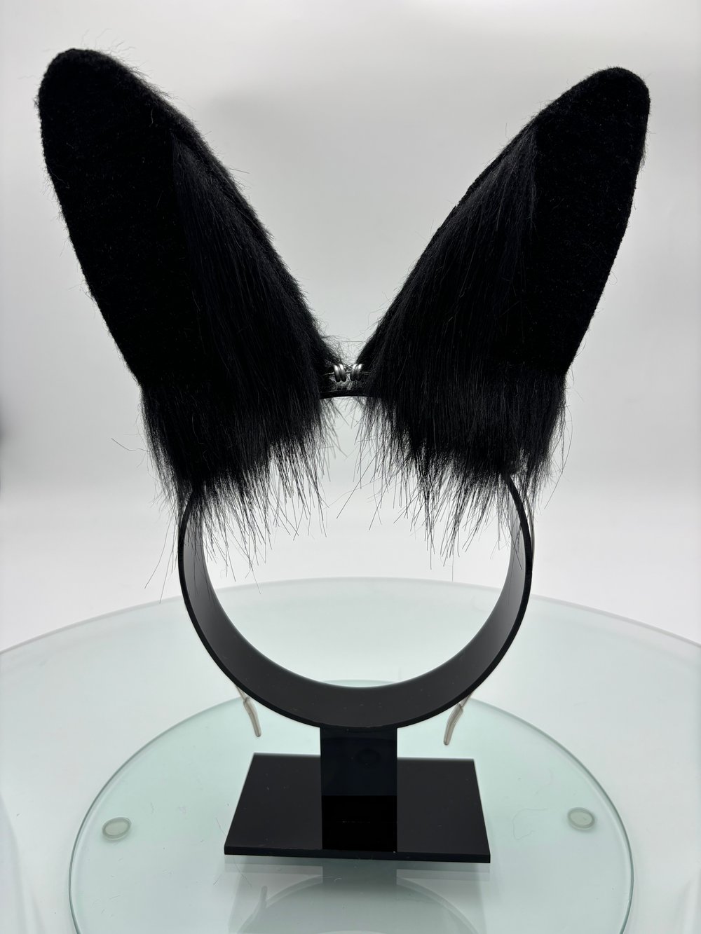Image of Black Mini Bun Ears 