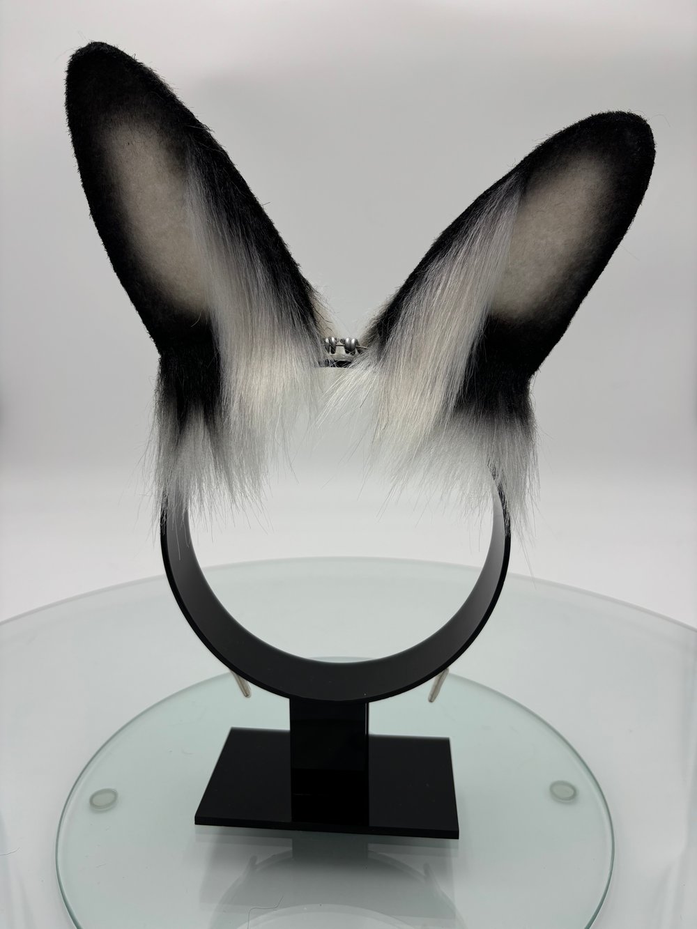 Image of White & Black Mini Bun Ears