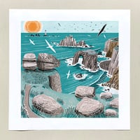 Image 1 of Enys Dodnan Gulls Large Print
