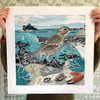 Marazion Rock Pipit Large Print