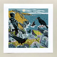 Image 1 of Mayon Cliff Choughs Large Print