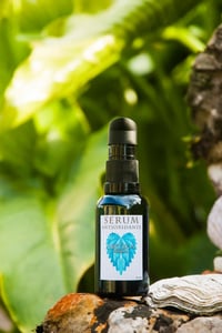 SERUM ANTIOXIDANTE