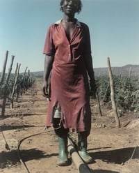 Image 5 of Jackie Nickerson - Farm